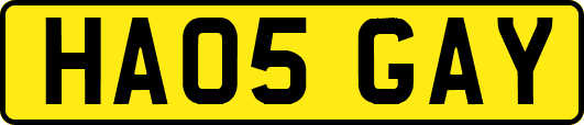 HA05GAY