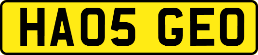 HA05GEO