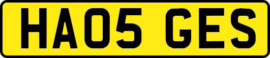 HA05GES