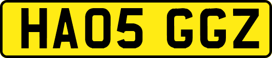 HA05GGZ