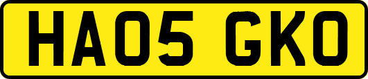 HA05GKO