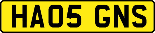 HA05GNS