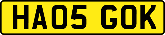 HA05GOK