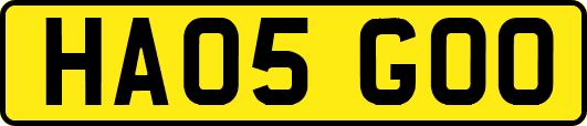 HA05GOO
