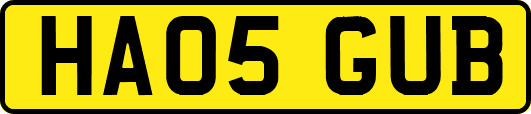 HA05GUB