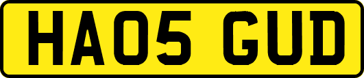 HA05GUD