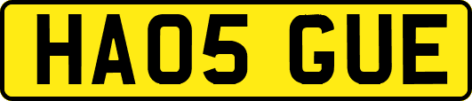 HA05GUE