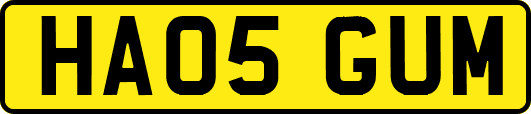 HA05GUM