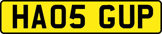 HA05GUP
