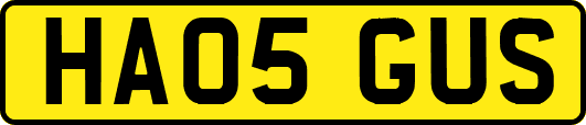 HA05GUS