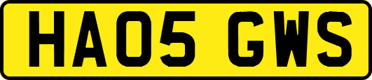 HA05GWS