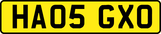 HA05GXO