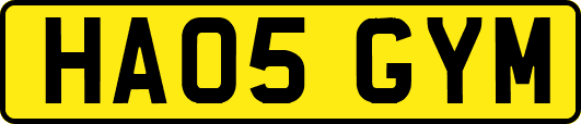 HA05GYM