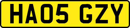 HA05GZY
