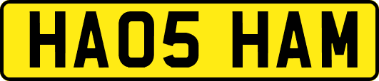 HA05HAM