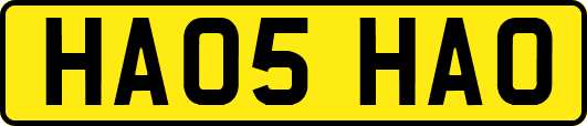HA05HAO