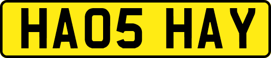 HA05HAY