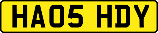 HA05HDY