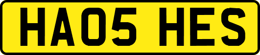 HA05HES