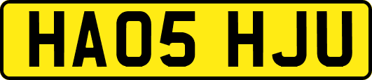HA05HJU