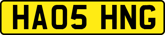 HA05HNG