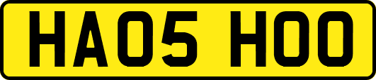 HA05HOO