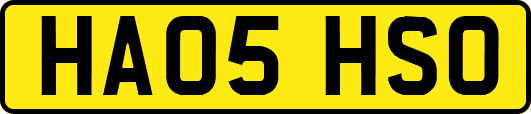 HA05HSO