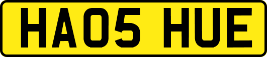HA05HUE