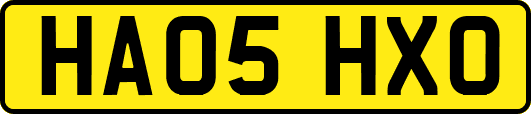 HA05HXO
