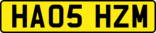 HA05HZM
