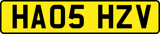 HA05HZV