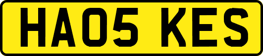 HA05KES