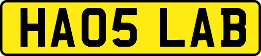 HA05LAB