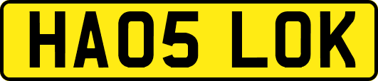 HA05LOK