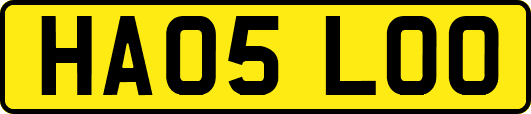 HA05LOO