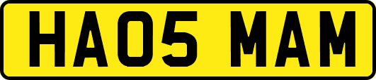 HA05MAM