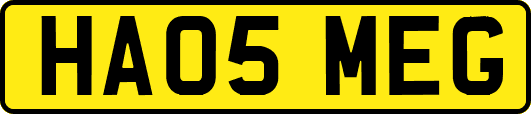 HA05MEG