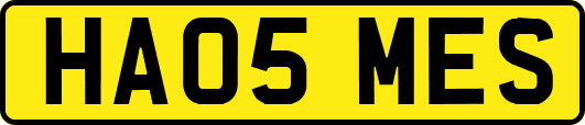 HA05MES