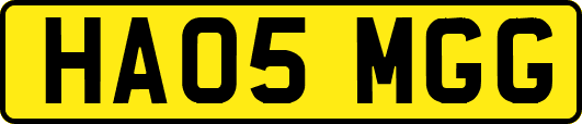 HA05MGG