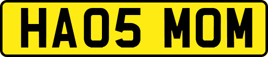 HA05MOM