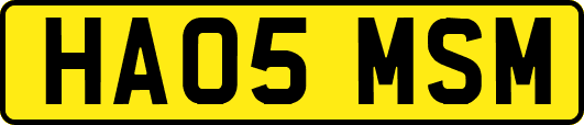 HA05MSM
