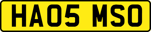 HA05MSO