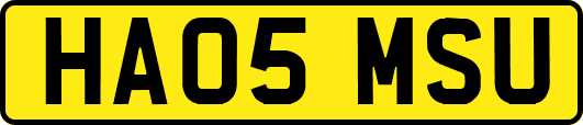 HA05MSU