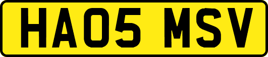 HA05MSV