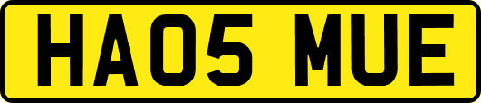 HA05MUE