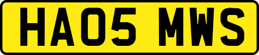 HA05MWS