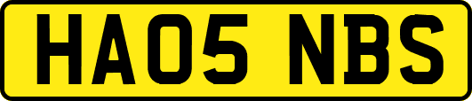 HA05NBS