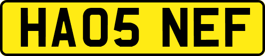 HA05NEF