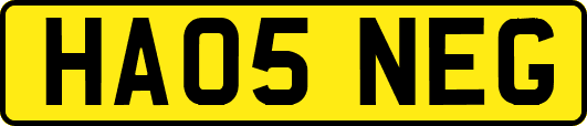HA05NEG