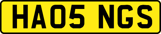 HA05NGS